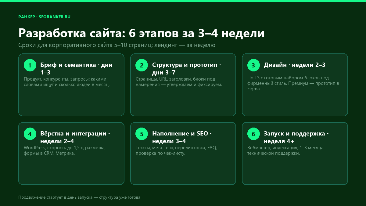 Инфографика: 6 этапов разработки сайта за 3–4 недели — от брифа до запуска и поддержки